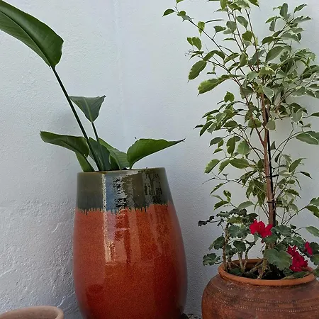 別荘 A Casa Da Avo Custodinha