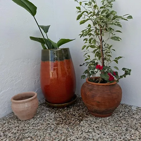 A Casa Da Avo Custodinha 別荘 Bias do Norte