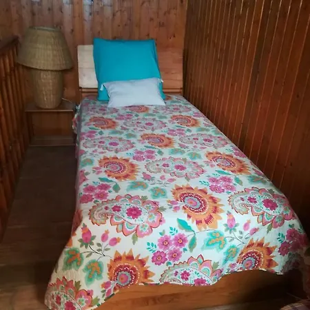 Сasa de vacaciones A Casa Da Avó Custodinha *