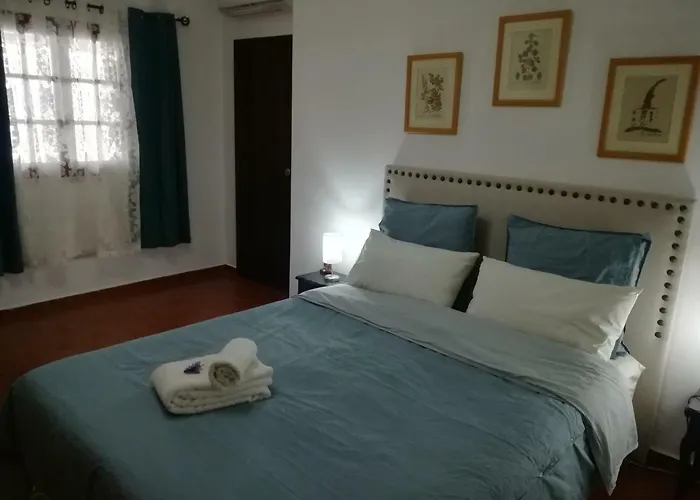 A Casa Da Avo Custodinha Σπίτι διακοπών *