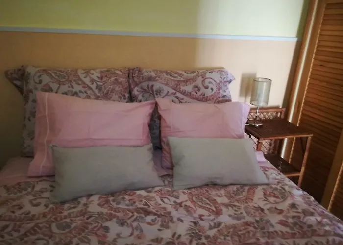 A Casa Da Avo Custodinha Nyaraló